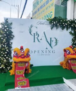 cung cấp dịch vụ múa lân khai trương