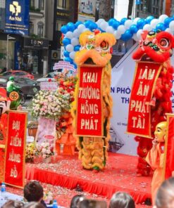Cung cấp dịch vụ múa lân khai trương giá rẻ hcm